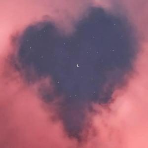 毛片在线播放网站
