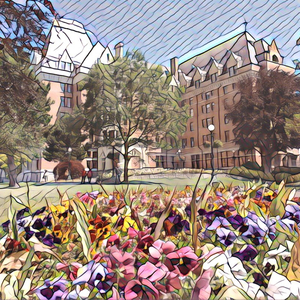 毛片在线播放网站
